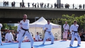 1020691