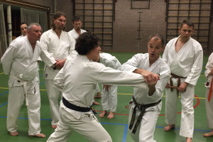 Seminar Bunnik 2017