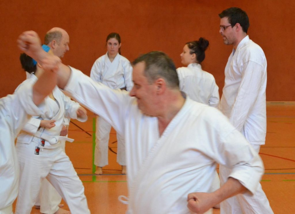 2016 Oi-Zukis zum Jahresstart – Foto 11