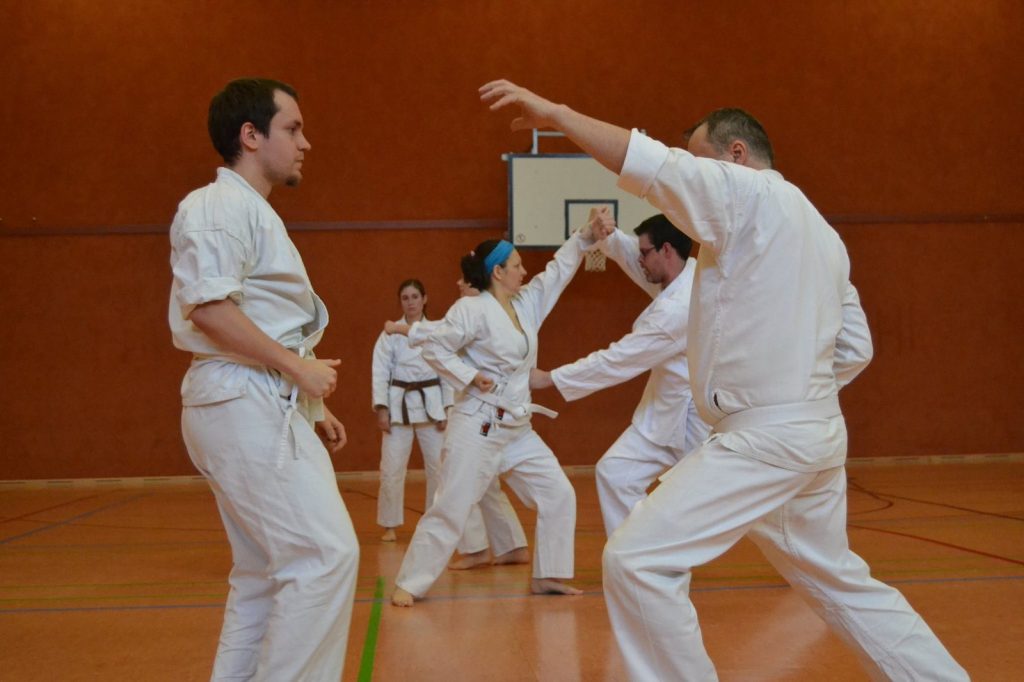 2016 Oi-Zukis zum Jahresstart – Foto 12