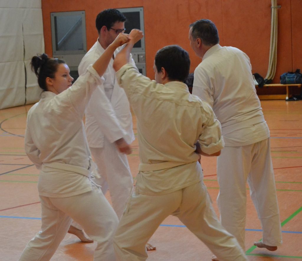 2016 Oi-Zukis zum Jahresstart – Foto 13