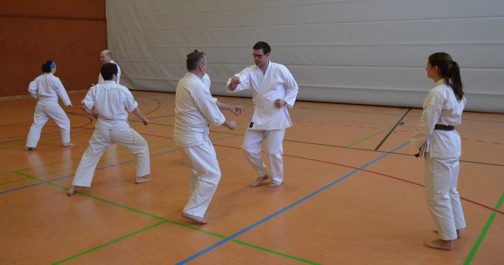 2016 Oi-Zukis zum Jahresstart – Foto 15