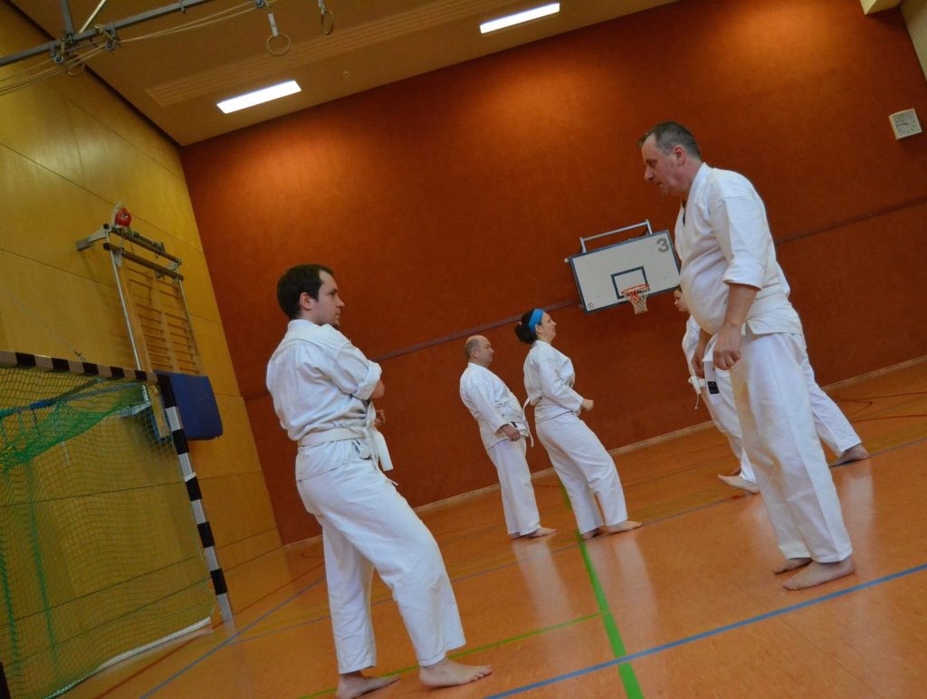 2016 Oi-Zukis zum Jahresstart – Foto 3