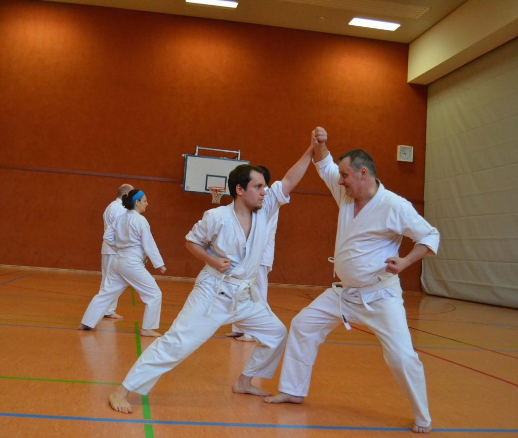 2016 Oi-Zukis zum Jahresstart – Foto 4
