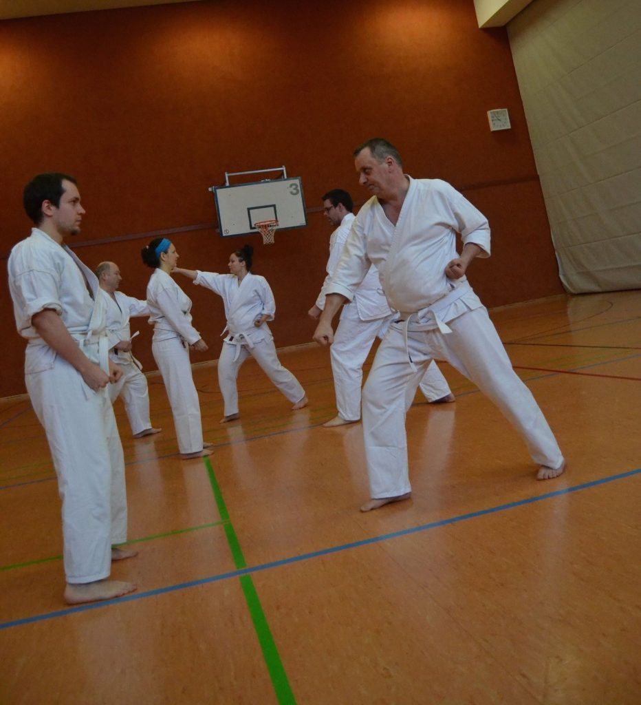 2016 Oi-Zukis zum Jahresstart – Foto 5