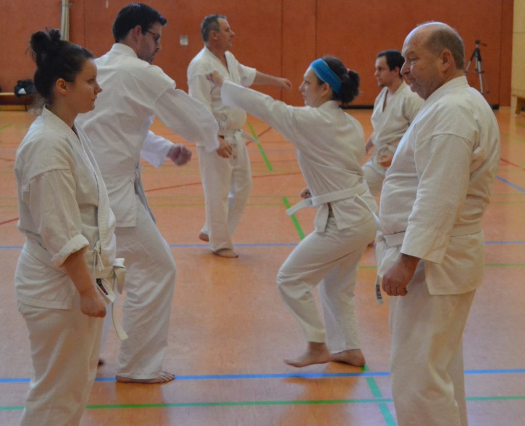 2016 Oi-Zukis zum Jahresstart – Foto 7