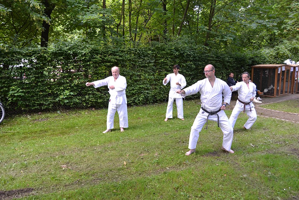 Gruitener Dorffest 2016 – Foto 1