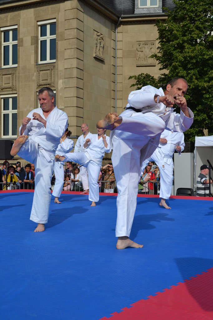 Der Shotokan Karate Haan e. V. auf dem Düsseldorfer Japan-Tag – Foto 1