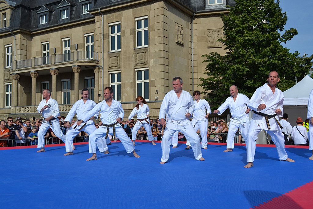 Der Shotokan Karate Haan e. V. auf dem Düsseldorfer Japan-Tag – Foto 6