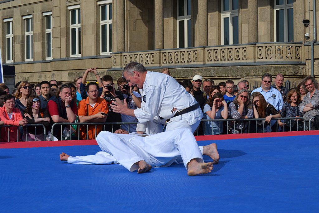 Der Shotokan Karate Haan e. V. auf dem Düsseldorfer Japan-Tag – Foto 11