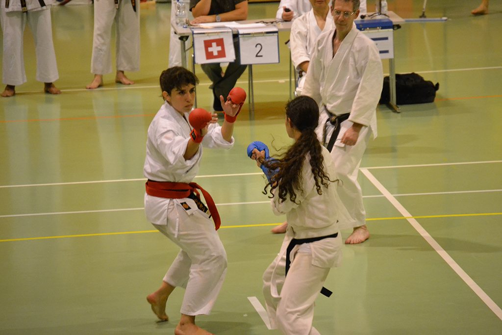 40 Jahre Shotokan Karate Schweiz – Foto 8