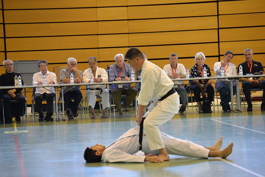 40 Jahre Shotokan Karate Schweiz – Foto 18