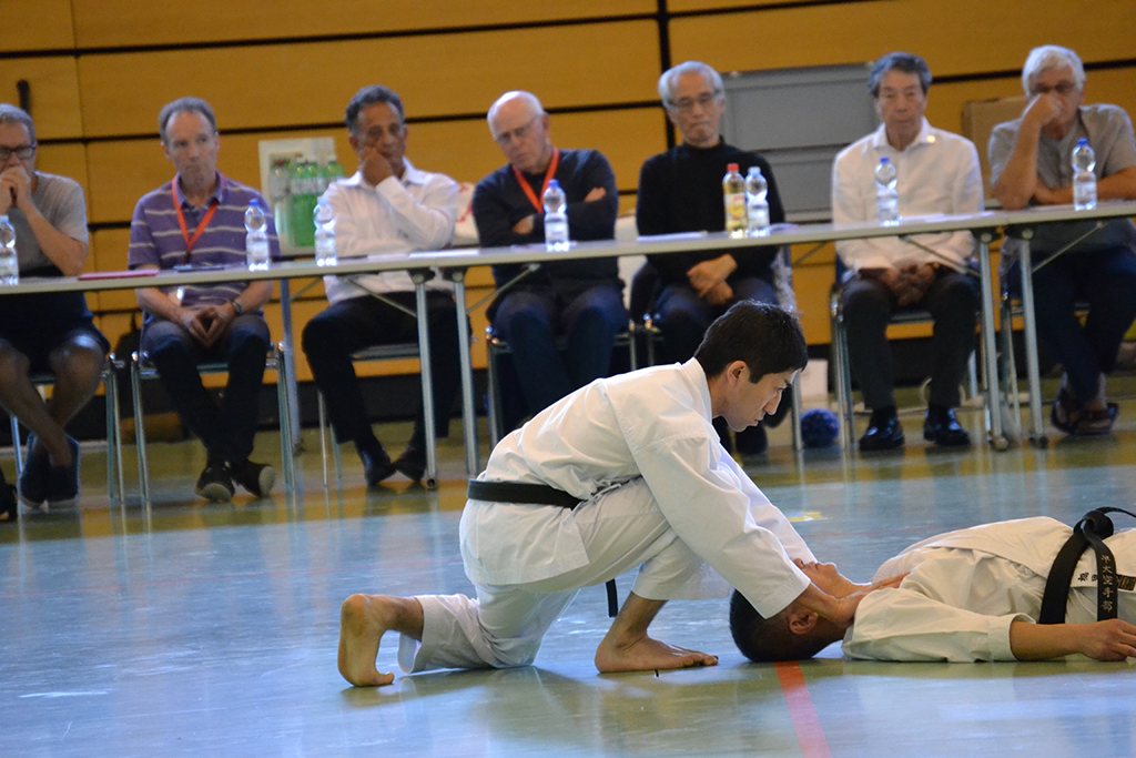 40 Jahre Shotokan Karate Schweiz – Foto 21