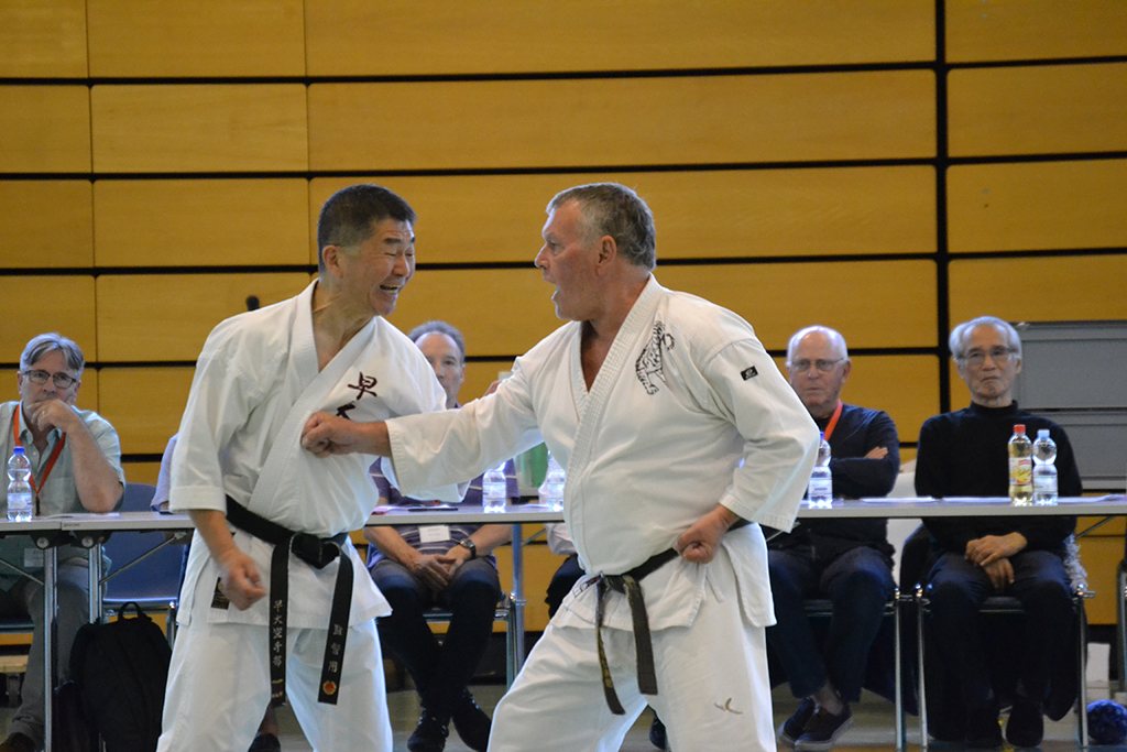 40 Jahre Shotokan Karate Schweiz – Foto 22