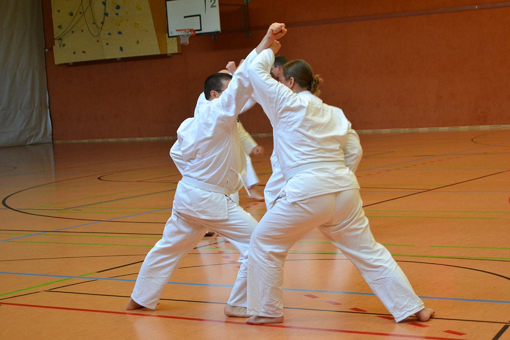 1. Kyu-Test Haan Dojo – Foto 8
