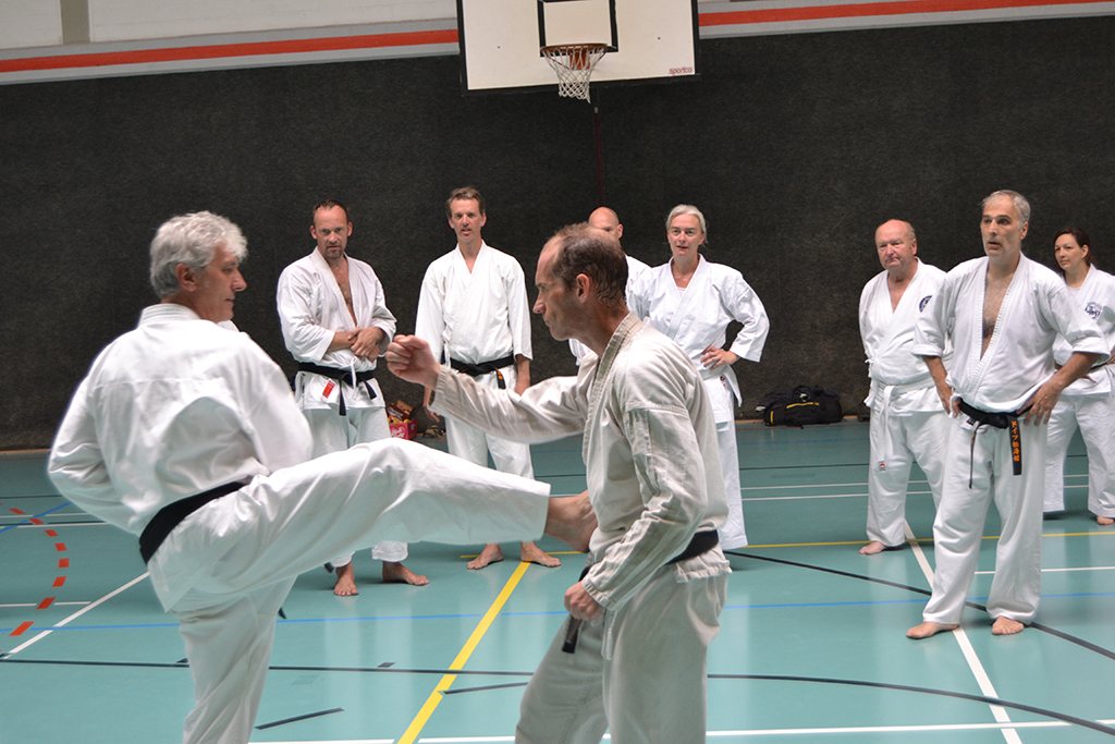 Anniversary celebration – 10 Years Shotokan Karate Haan e. V. – Foto 12