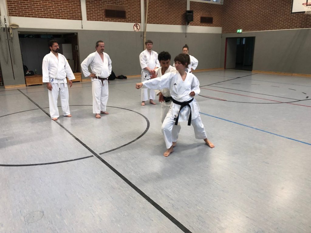 Extratraining mit Godan Alex Guillen – Foto 10
