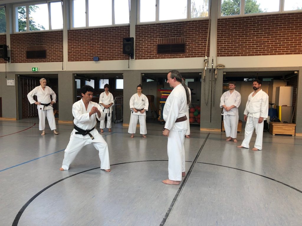 Extratraining mit Godan Alex Guillen – Foto 3