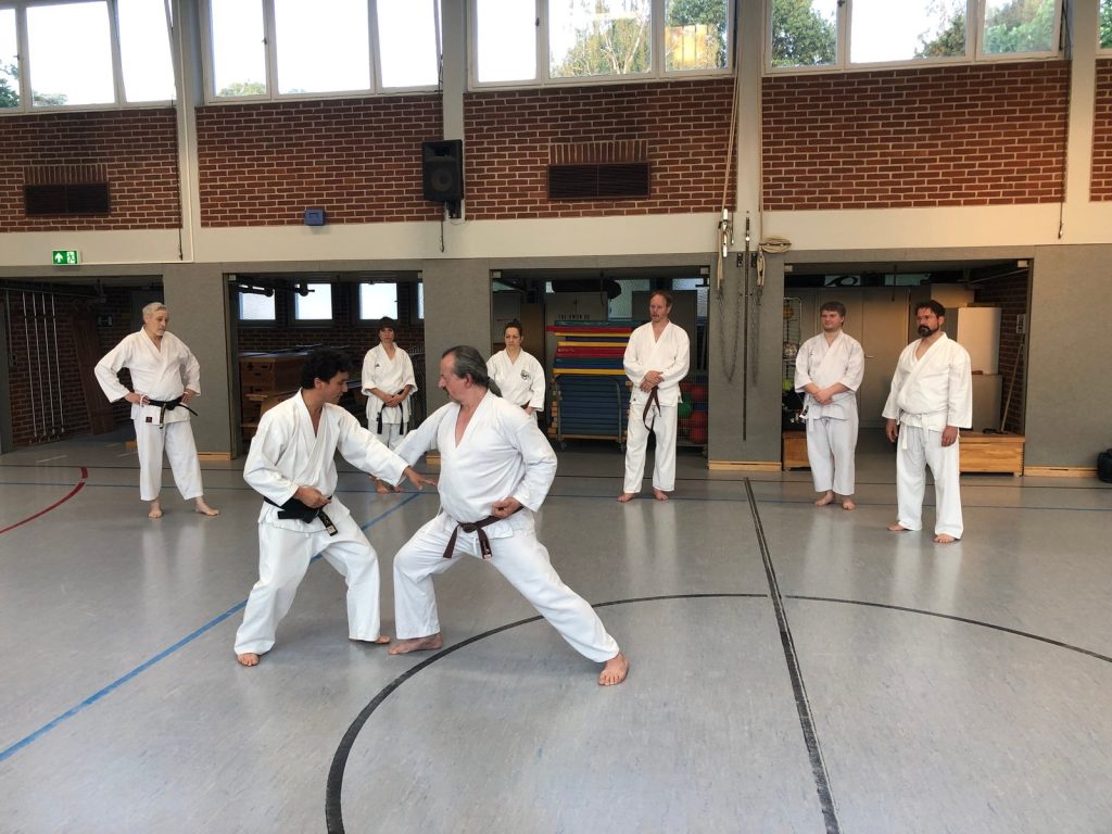 Extratraining mit Godan Alex Guillen – Foto 5