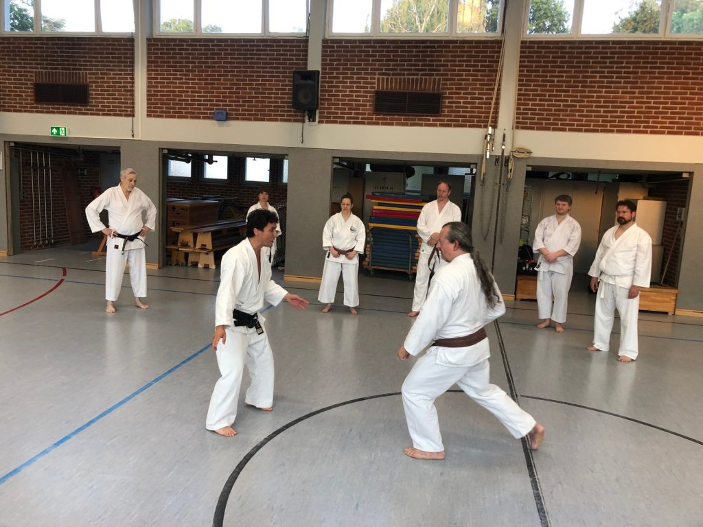 Extratraining mit Godan Alex Guillen – Foto 6