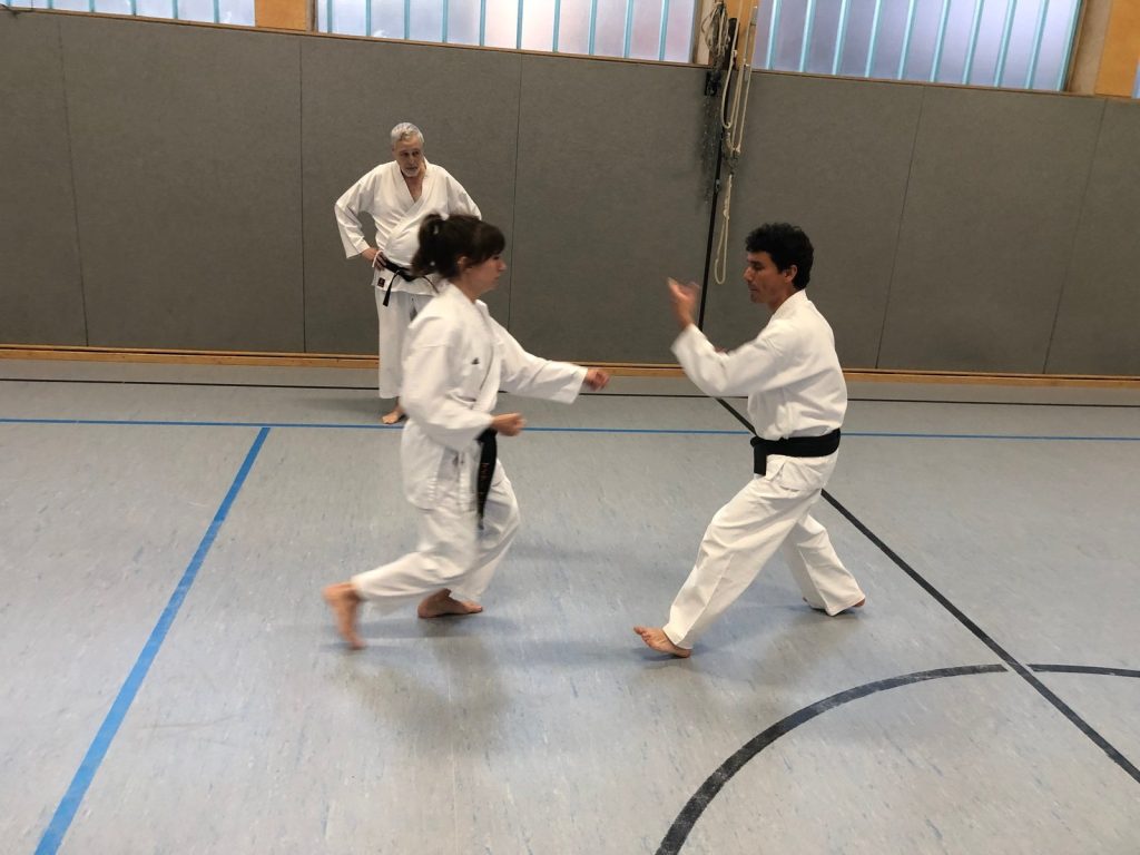 Extratraining mit Godan Alex Guillen – Foto 8