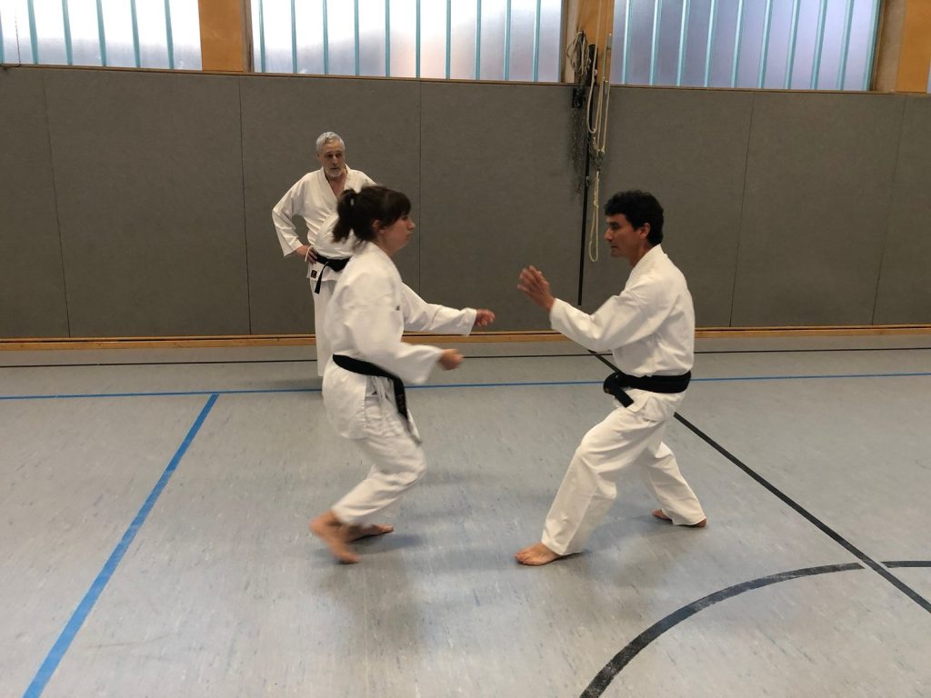 Extratraining mit Godan Alex Guillen – Foto 9