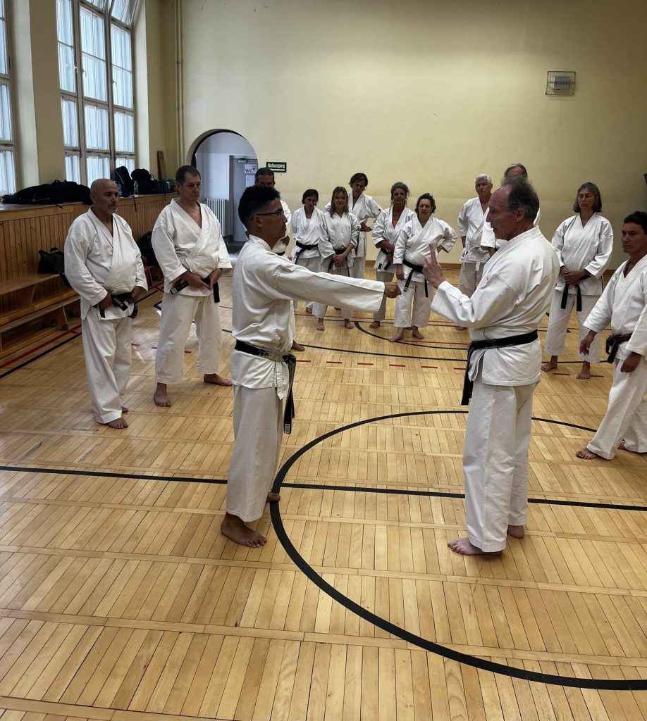 20 Jahre Germany Shotokan – Seminar mit Patrick Mottet in Berlin – Foto
