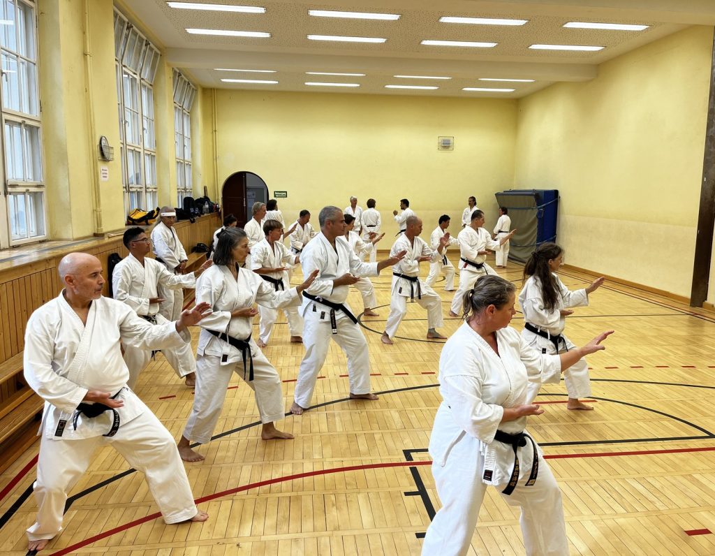 20 Jahre Germany Shotokan – Seminar mit Patrick Mottet in Berlin – Foto