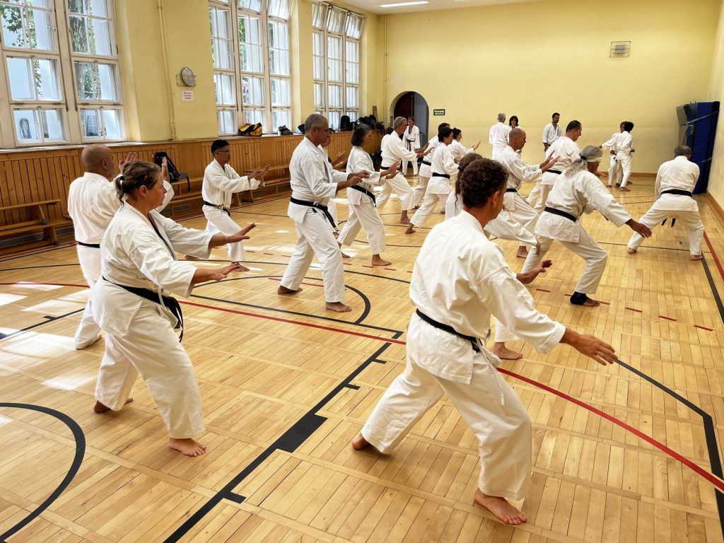 20 Jahre Germany Shotokan – Seminar mit Patrick Mottet in Berlin – Foto