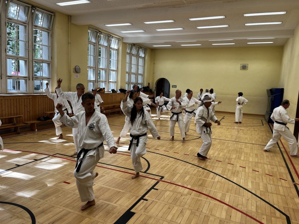 20 Jahre Germany Shotokan – Seminar mit Patrick Mottet in Berlin – Foto