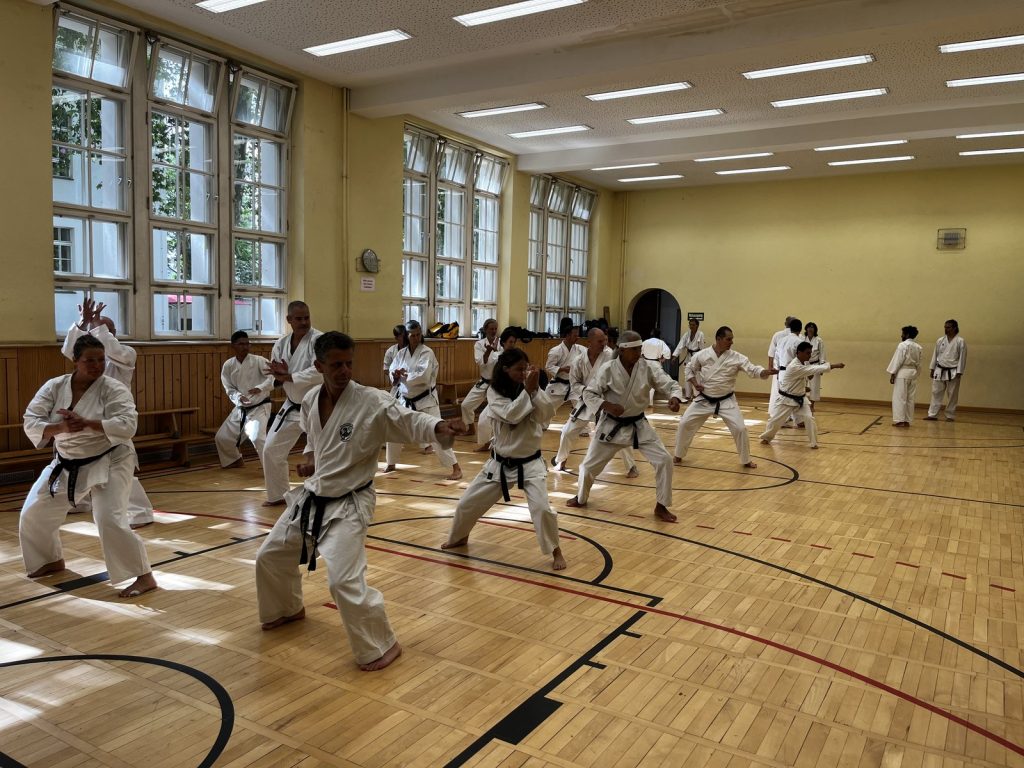 20 Jahre Germany Shotokan – Seminar mit Patrick Mottet in Berlin – Foto