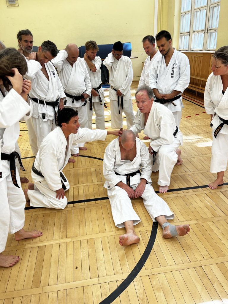 20 Jahre Germany Shotokan – Seminar mit Patrick Mottet in Berlin – Foto